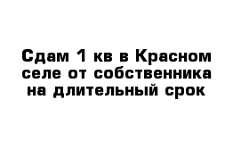 Сдам 1-кв в Красном селе от собственника на длительный срок